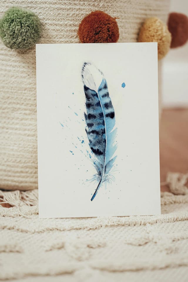 Blue Jay shown in a room setting