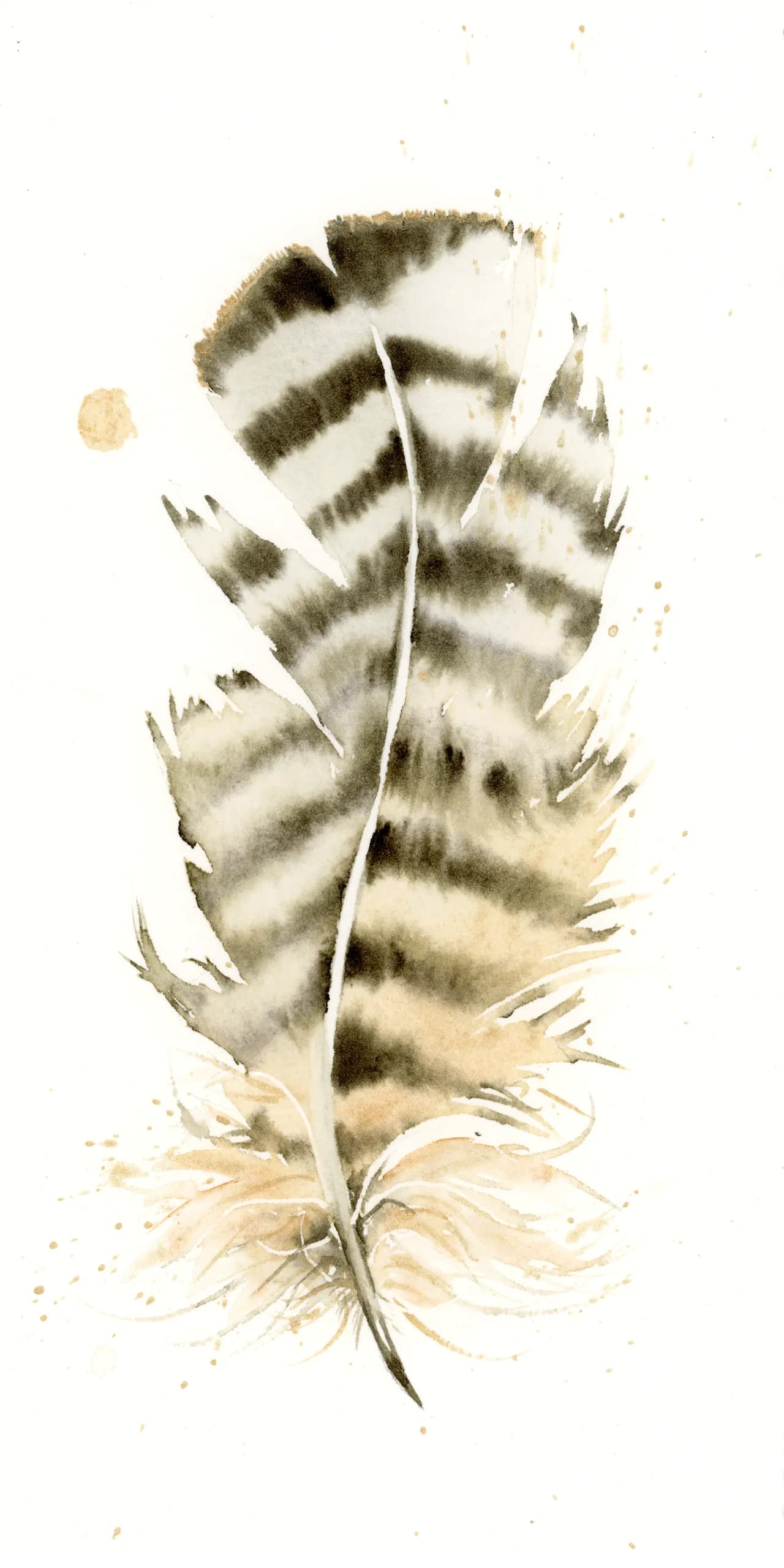 Great Horned Owl — watercolor by Shayna Larsen