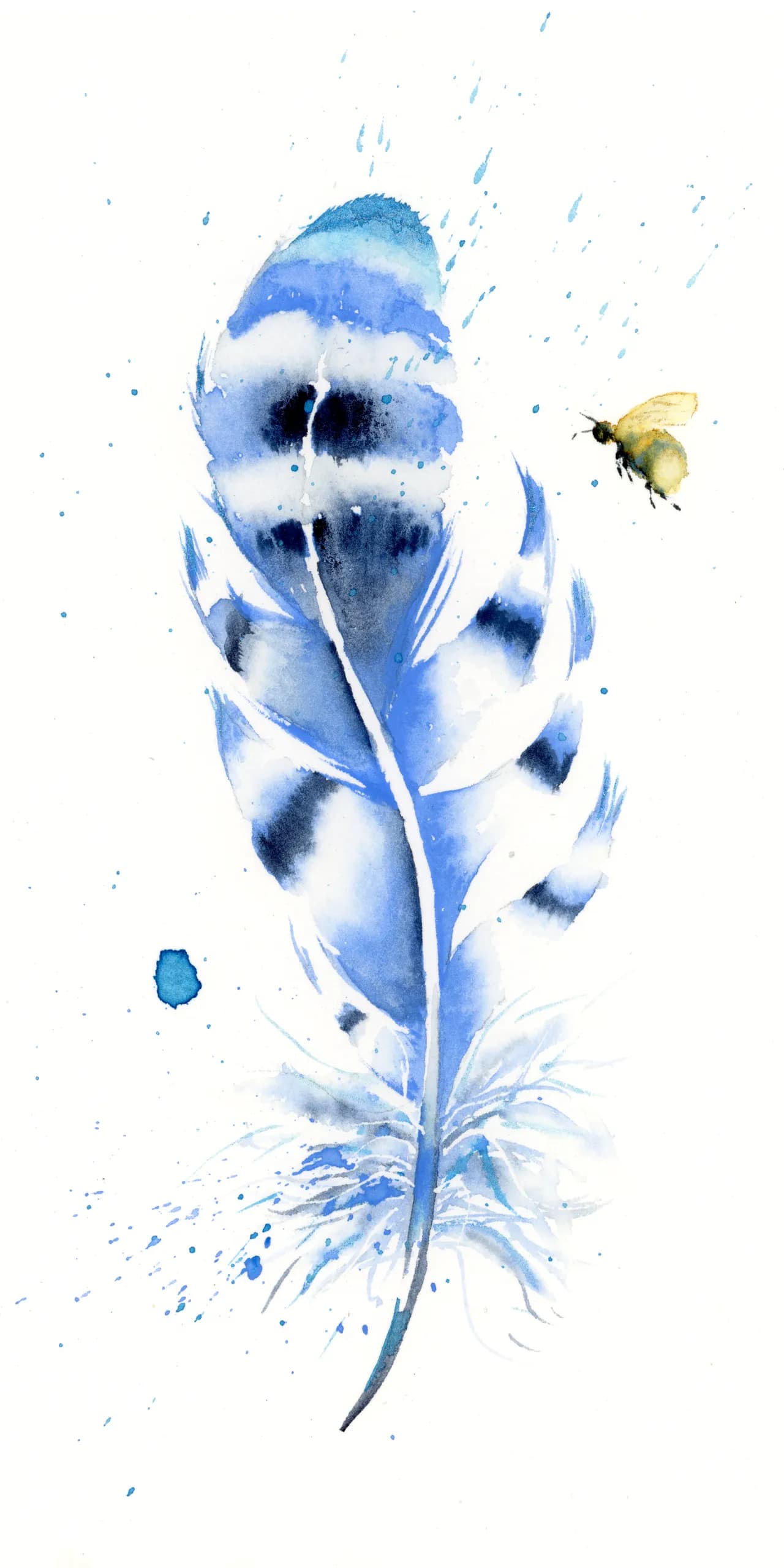 Blue Jay — watercolor by Shayna Larsen