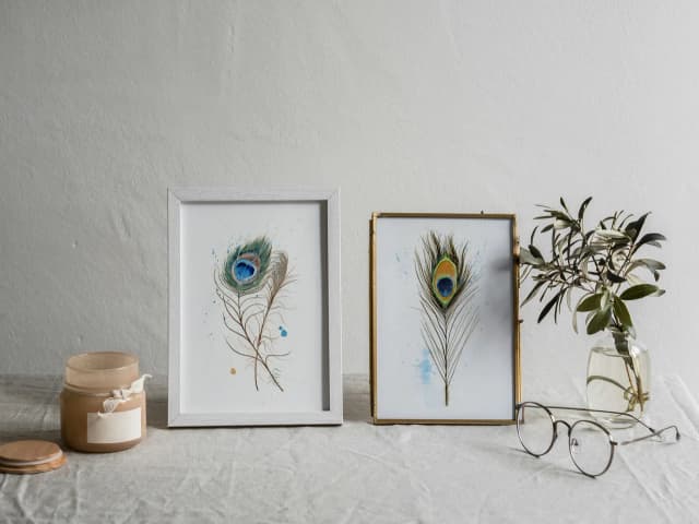 Peacock shown in a room setting