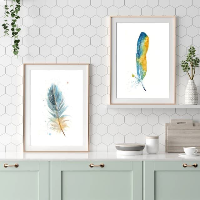 Macaw shown in a room setting