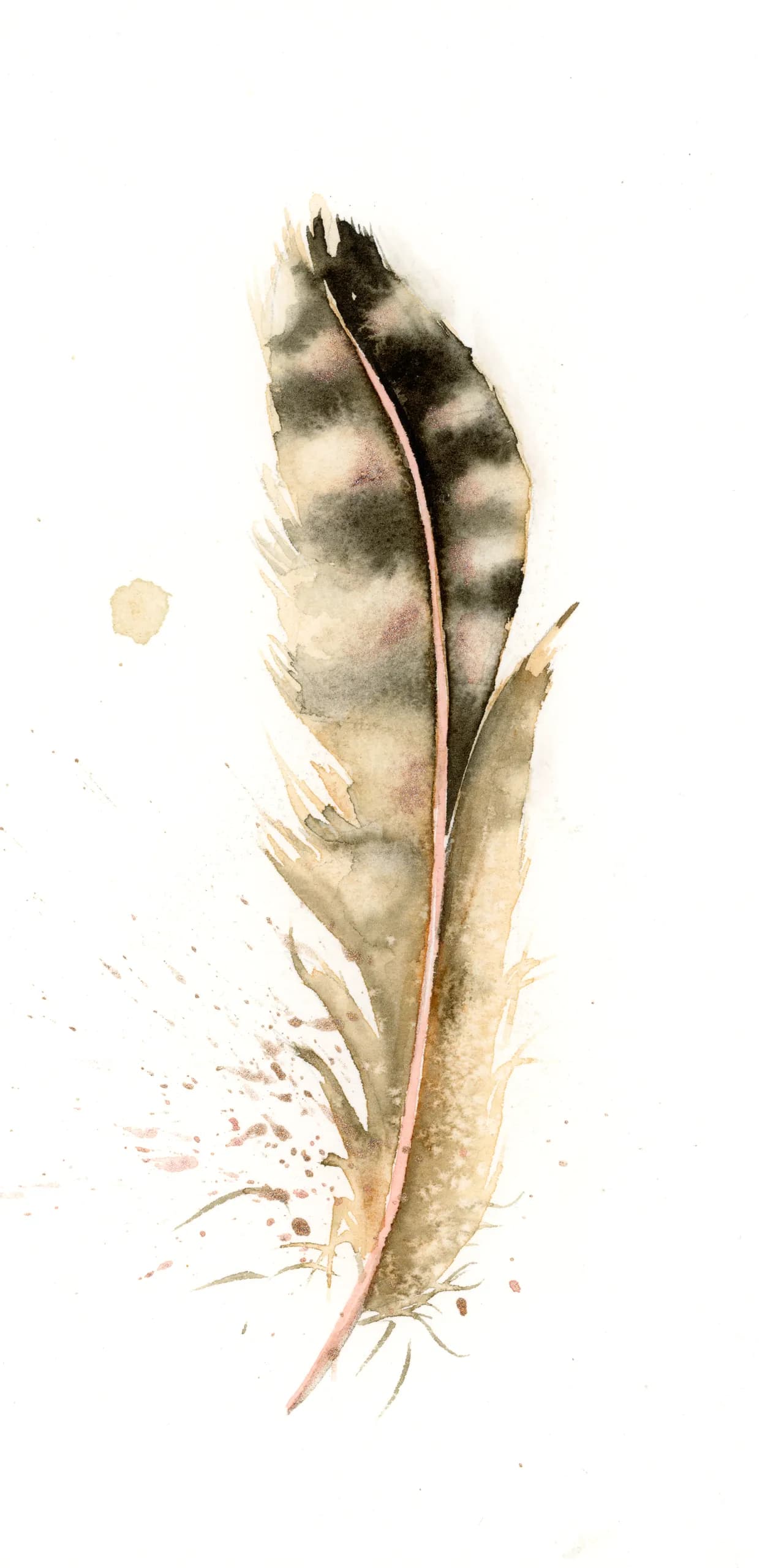 Northern Flicker — watercolor by Shayna Larsen