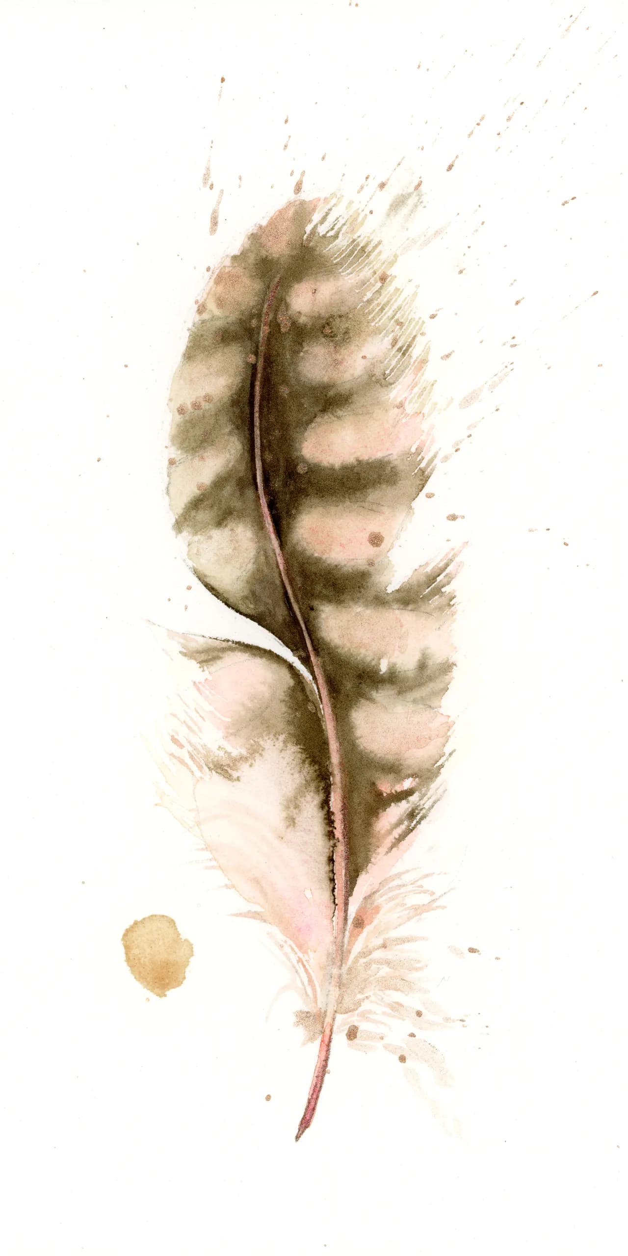 Northern Flicker — watercolor by Shayna Larsen