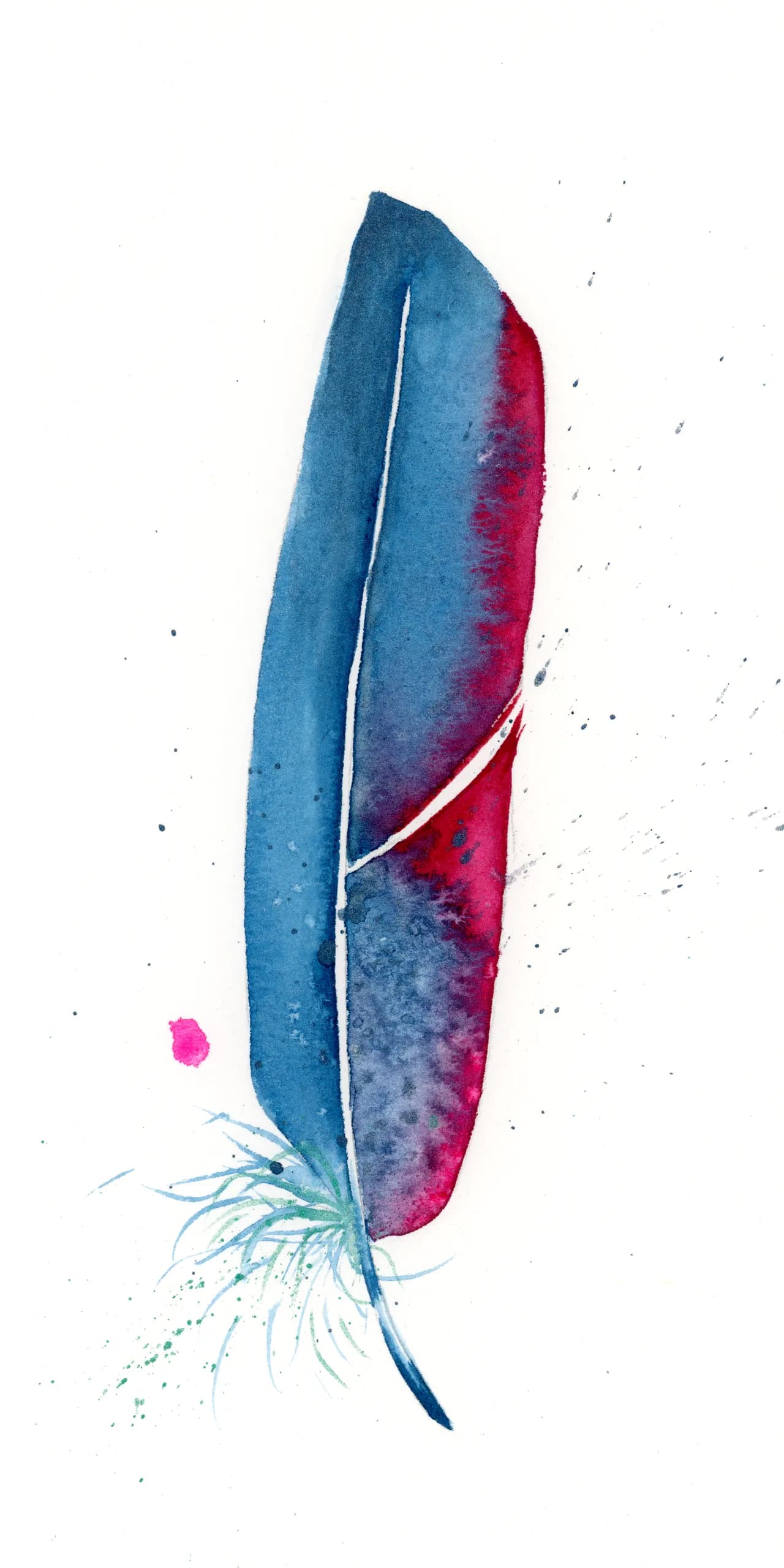 Macaw — watercolor by Shayna Larsen