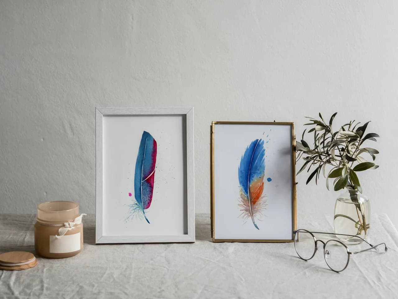 Macaw shown in a room setting