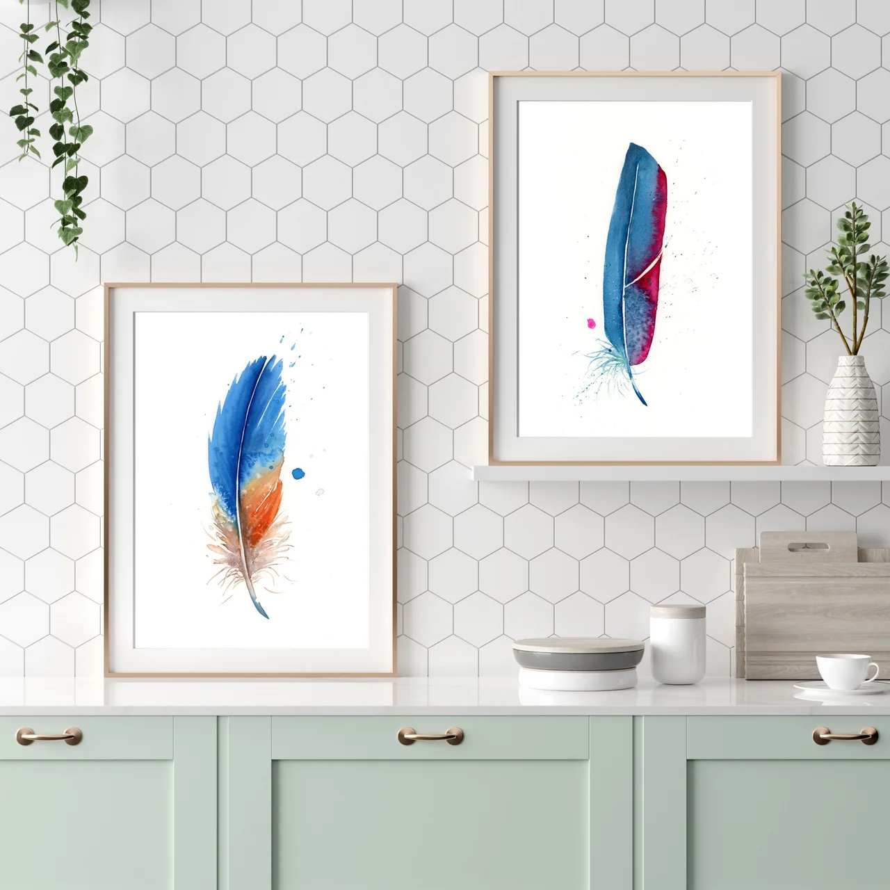 Macaw shown in a room setting