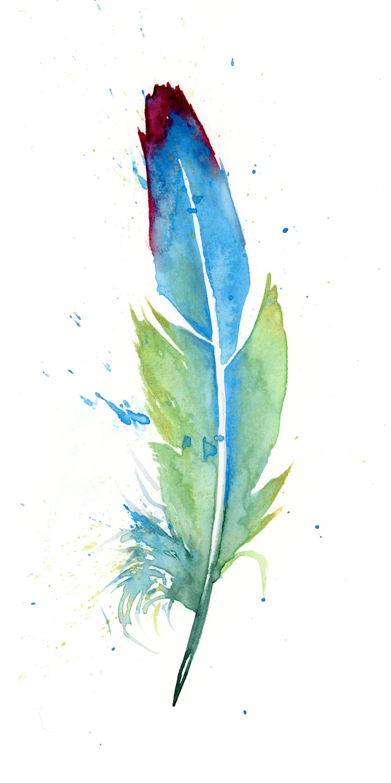 Turaco — watercolor by Shayna Larsen