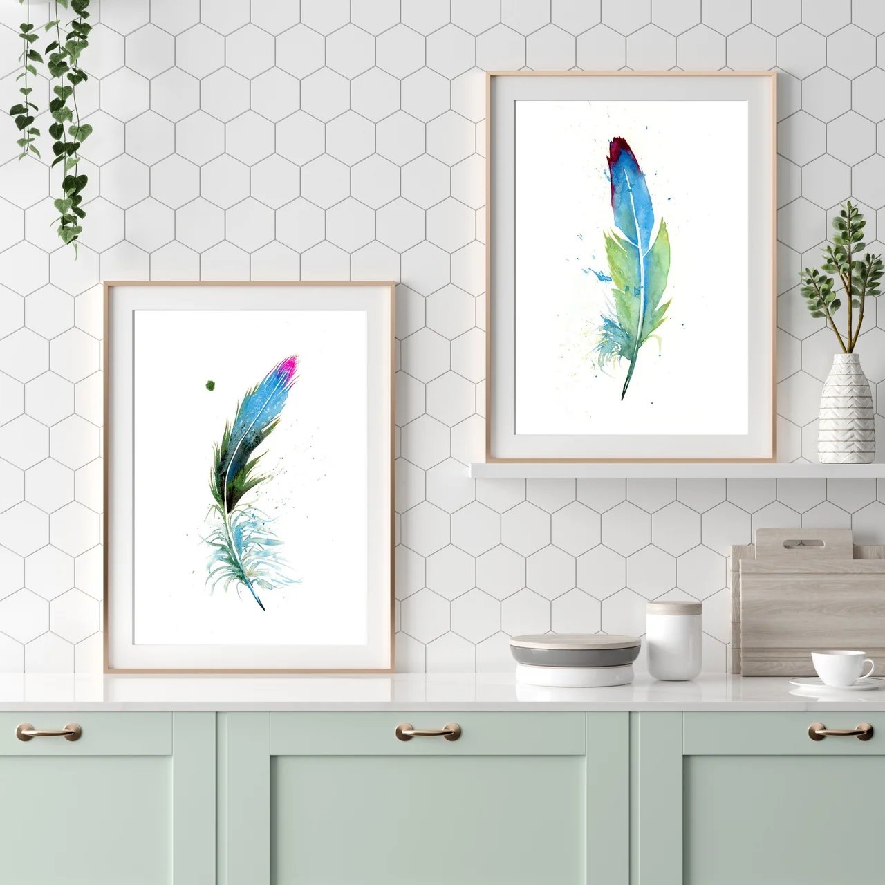 Turaco shown in a room setting
