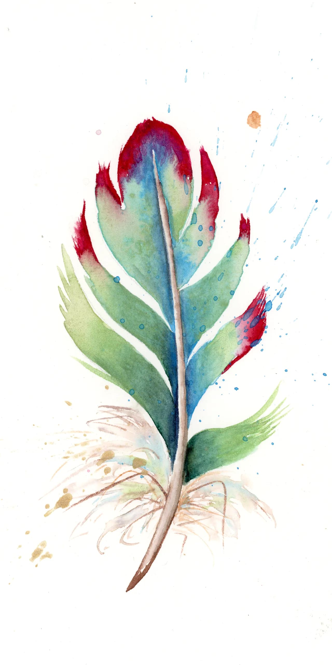 Turaco — watercolor by Shayna Larsen