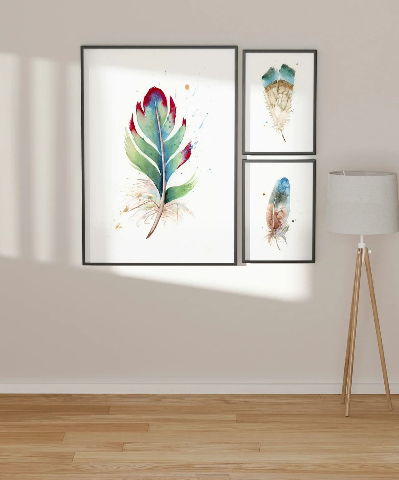 Turaco shown in a room setting