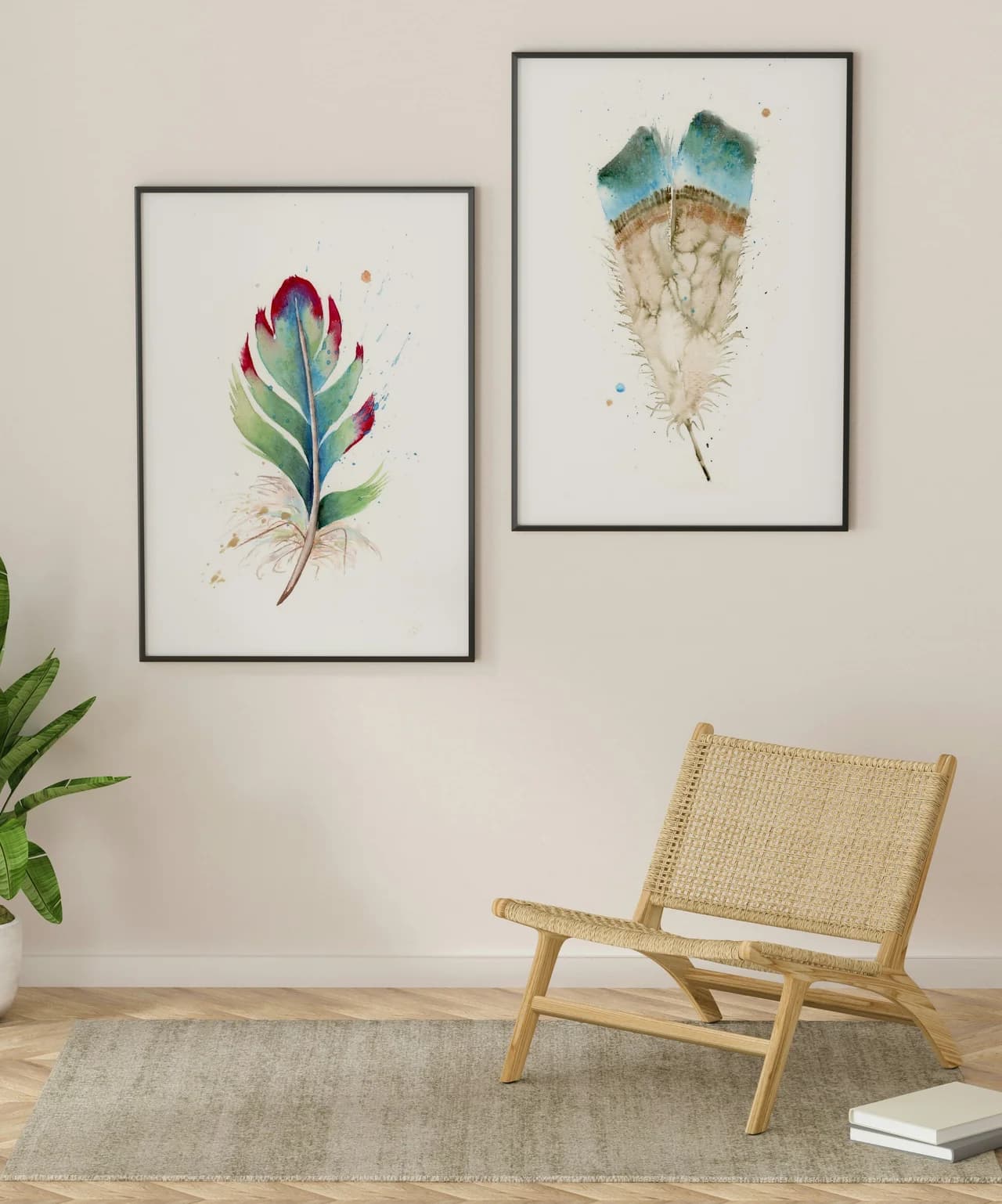 Turaco shown in a room setting