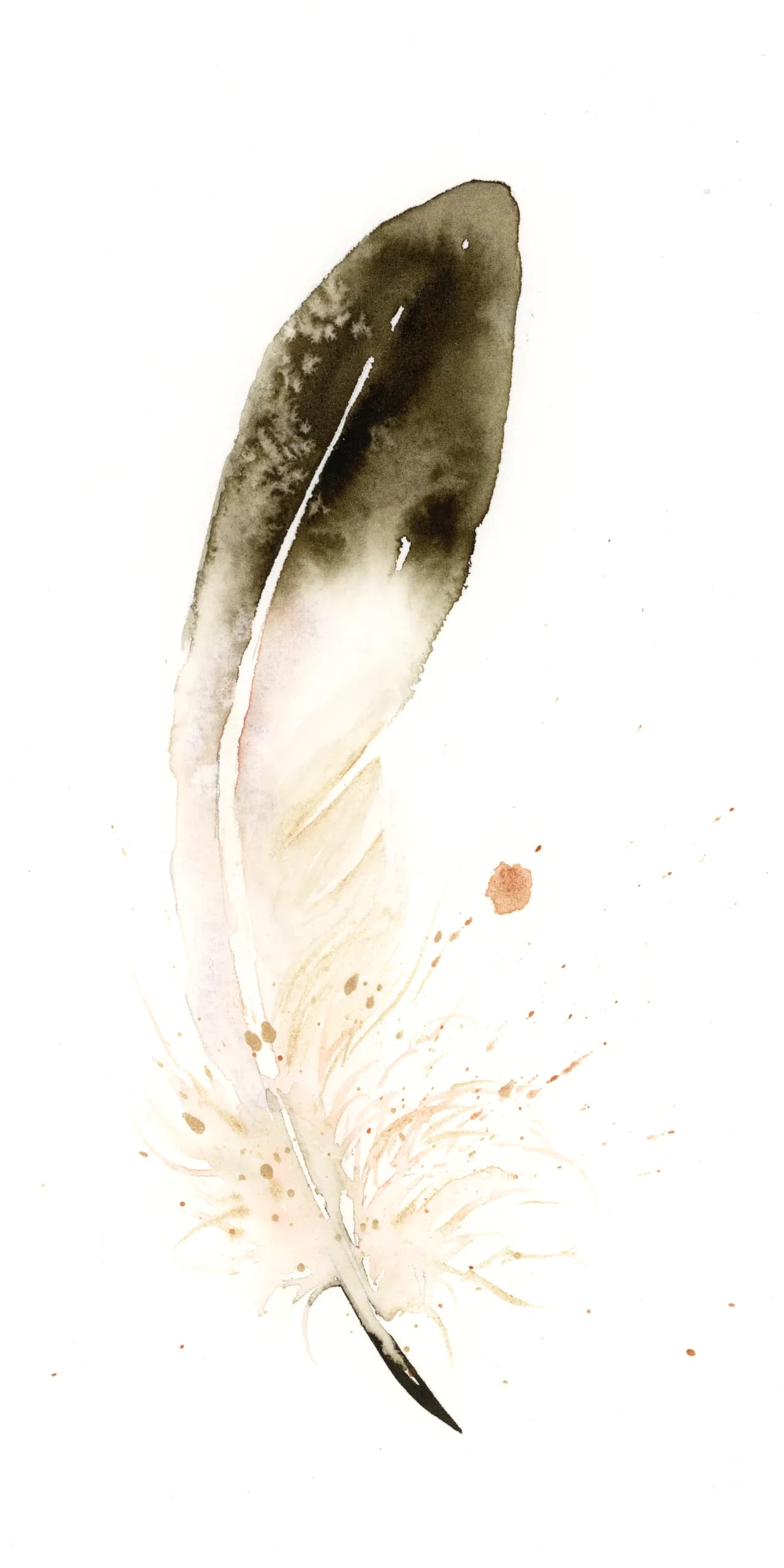 Golden Eagle — watercolor by Shayna Larsen