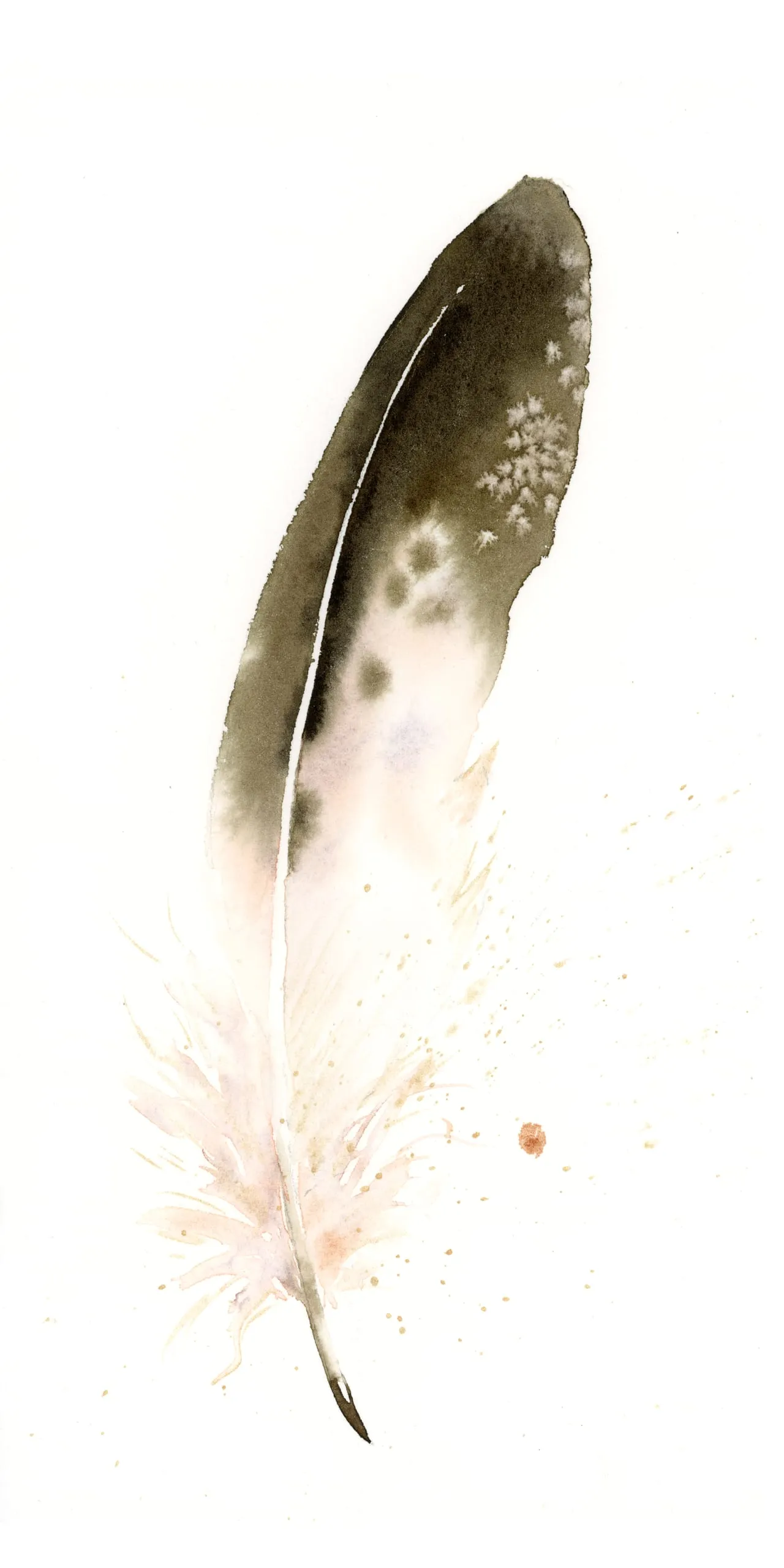 Golden Eagle — watercolor by Shayna Larsen