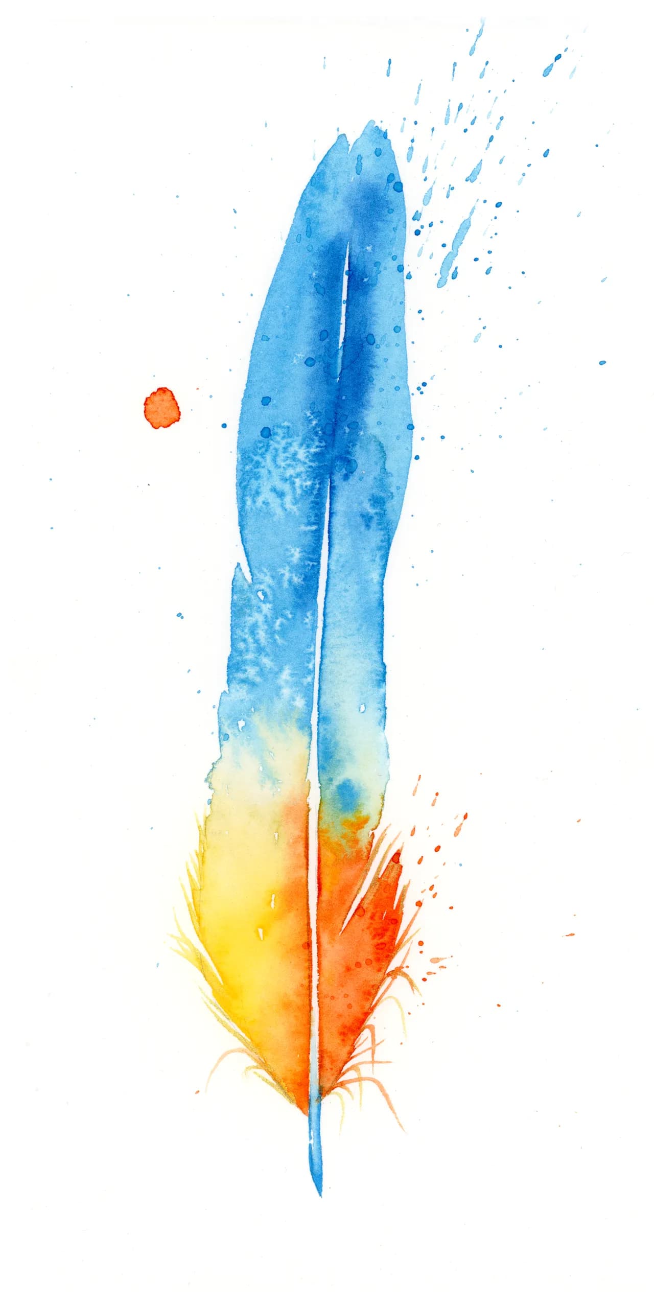 Macaw — watercolor by Shayna Larsen