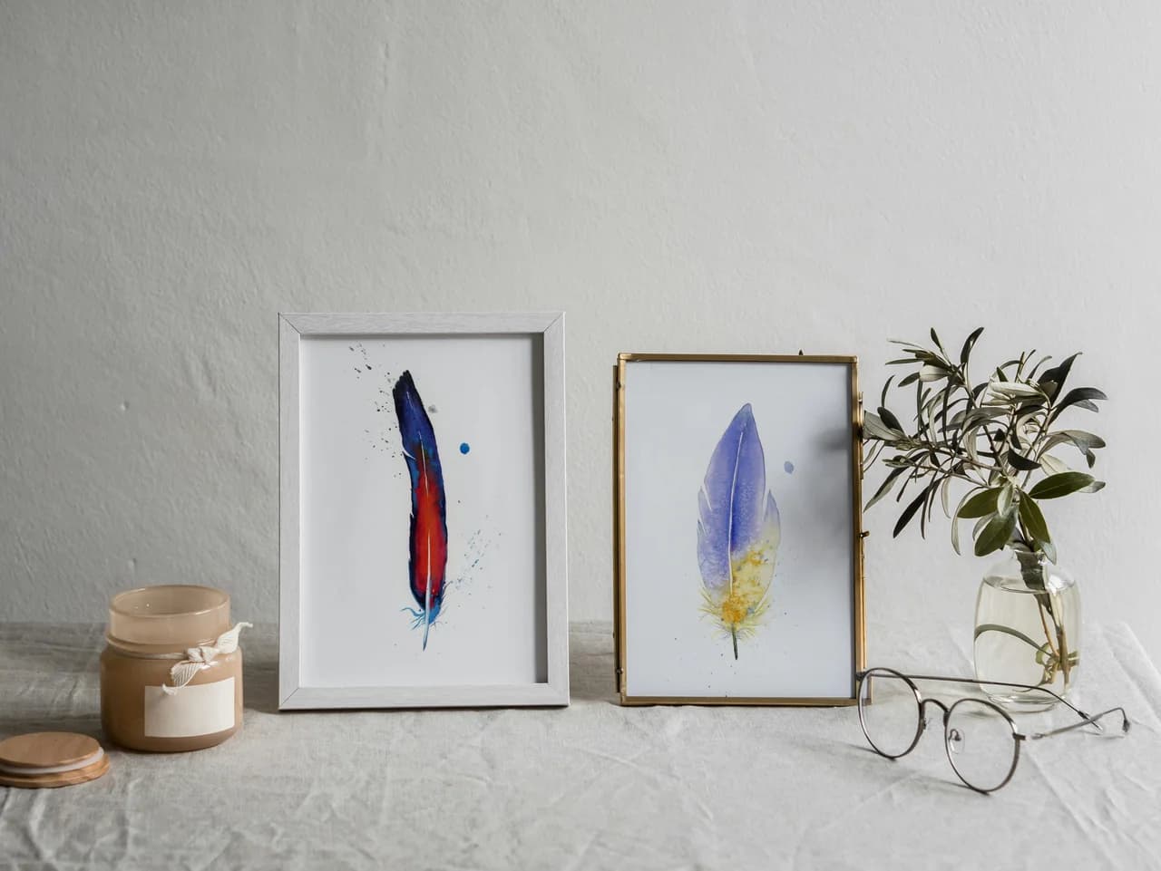 Macaw shown in a room setting