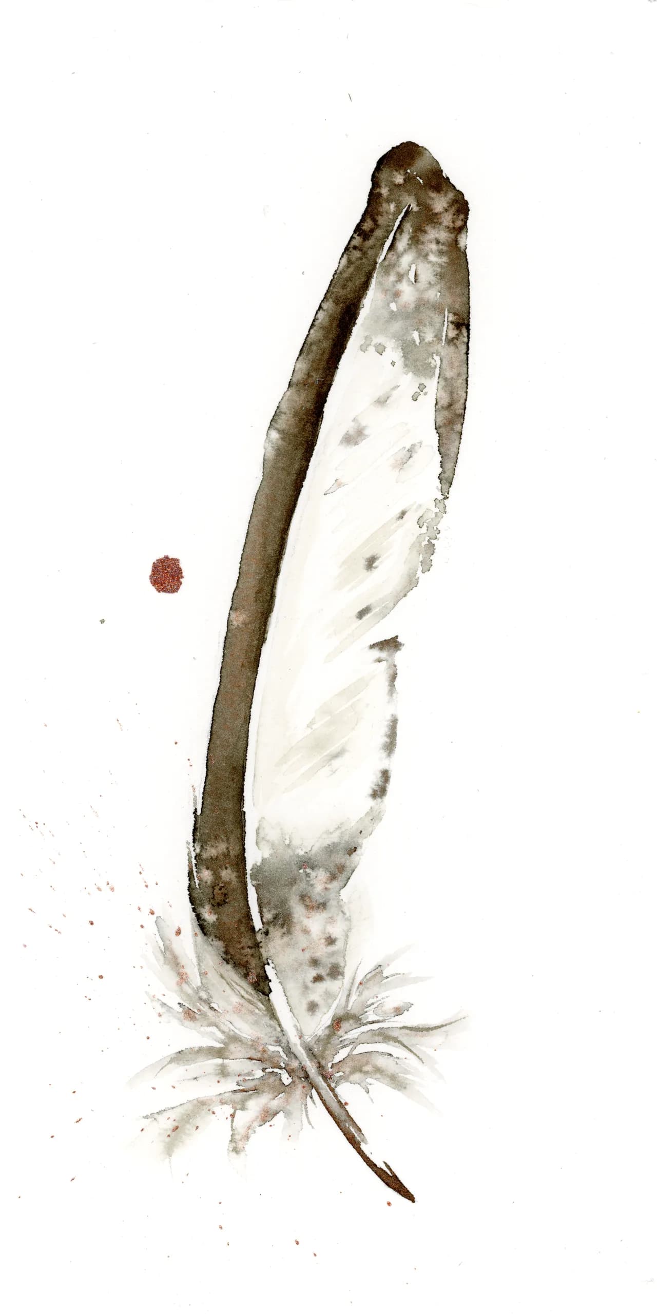 Bald Eagle — watercolor by Shayna Larsen