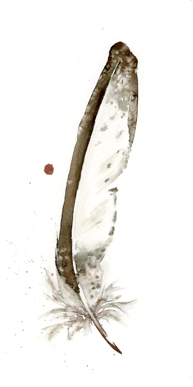 Bald Eagle — watercolor by Shayna Larsen