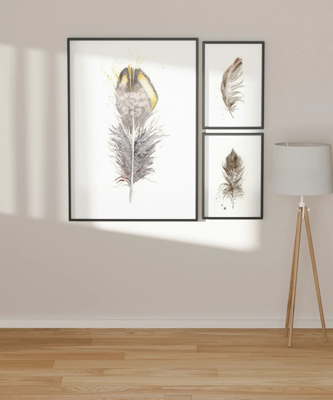 California Quail shown in a room setting