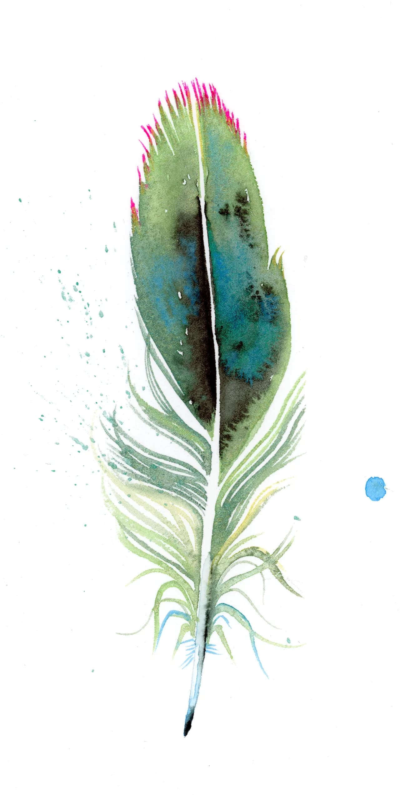 Hummingbird — watercolor by Shayna Larsen