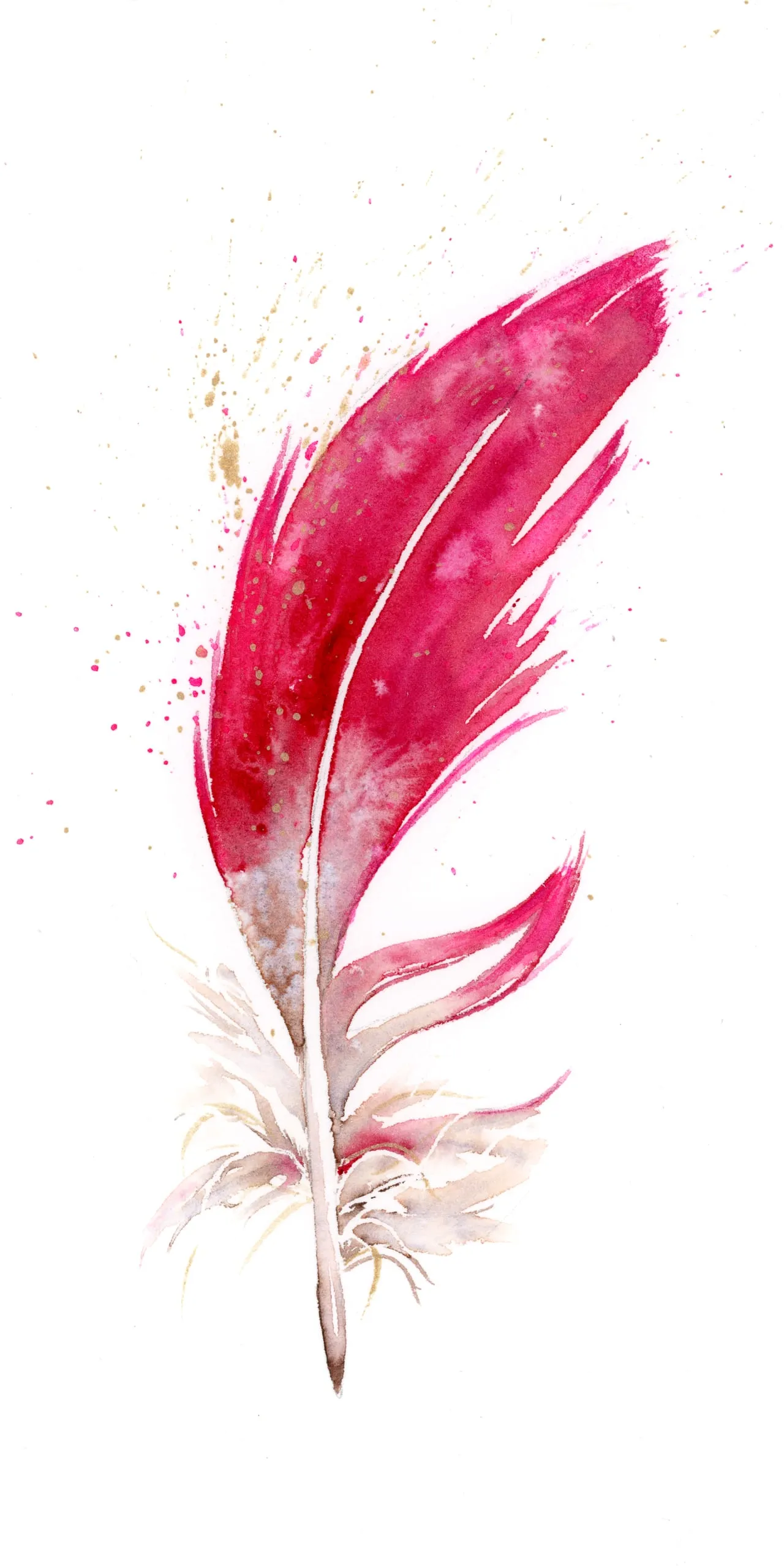 Cardinal — watercolor by Shayna Larsen