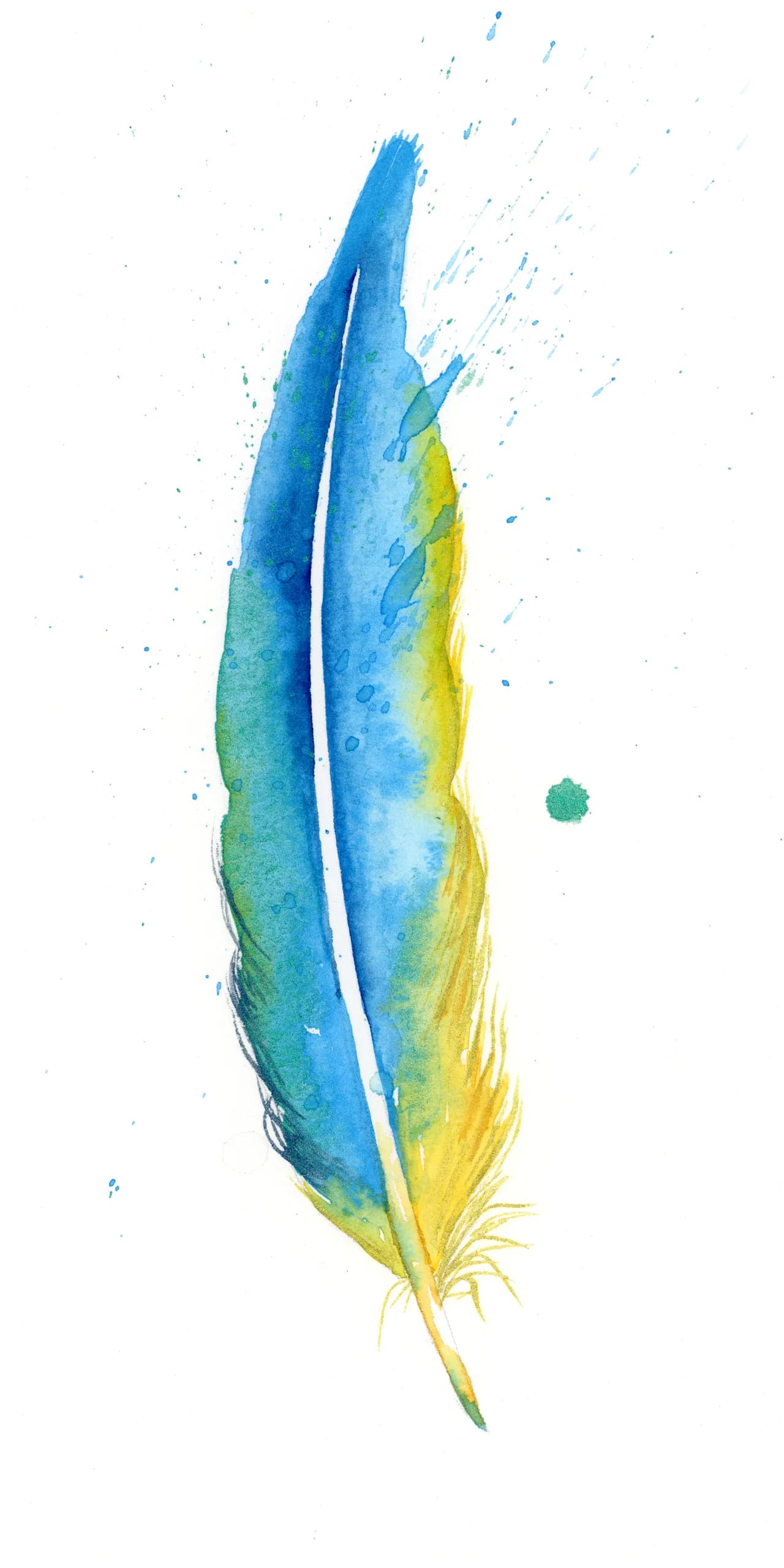 Macaw — watercolor by Shayna Larsen