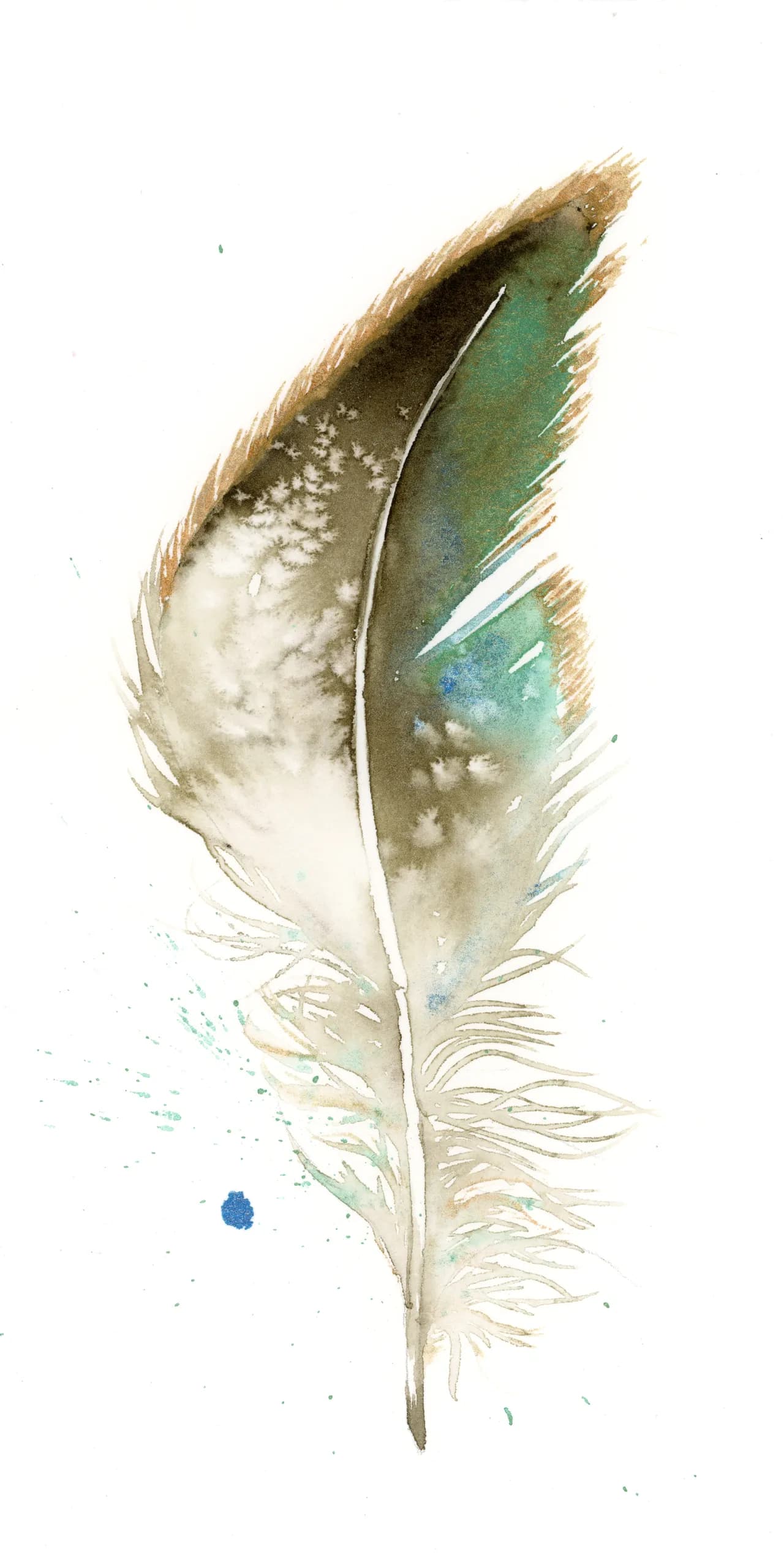 Starling — watercolor by Shayna Larsen
