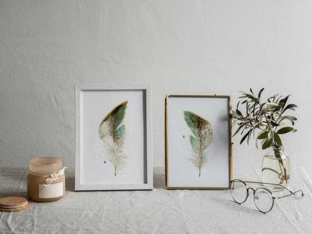 Starling shown in a room setting