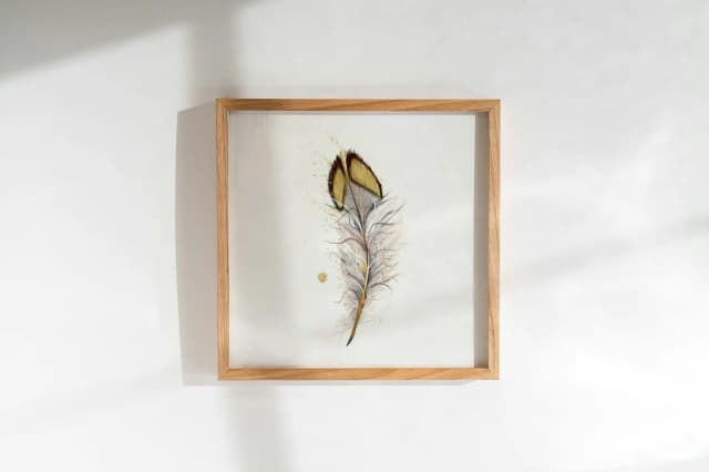 Quail shown in a room setting