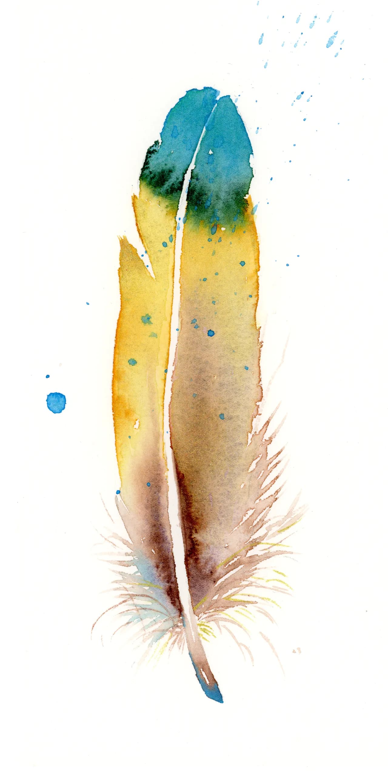 Macaw — watercolor by Shayna Larsen