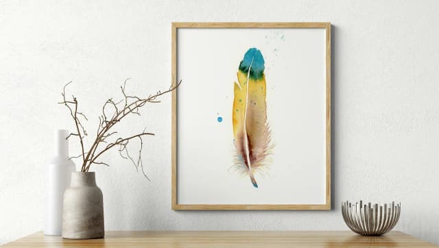Macaw shown in a room setting