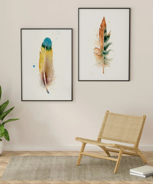 Macaw shown in a room setting