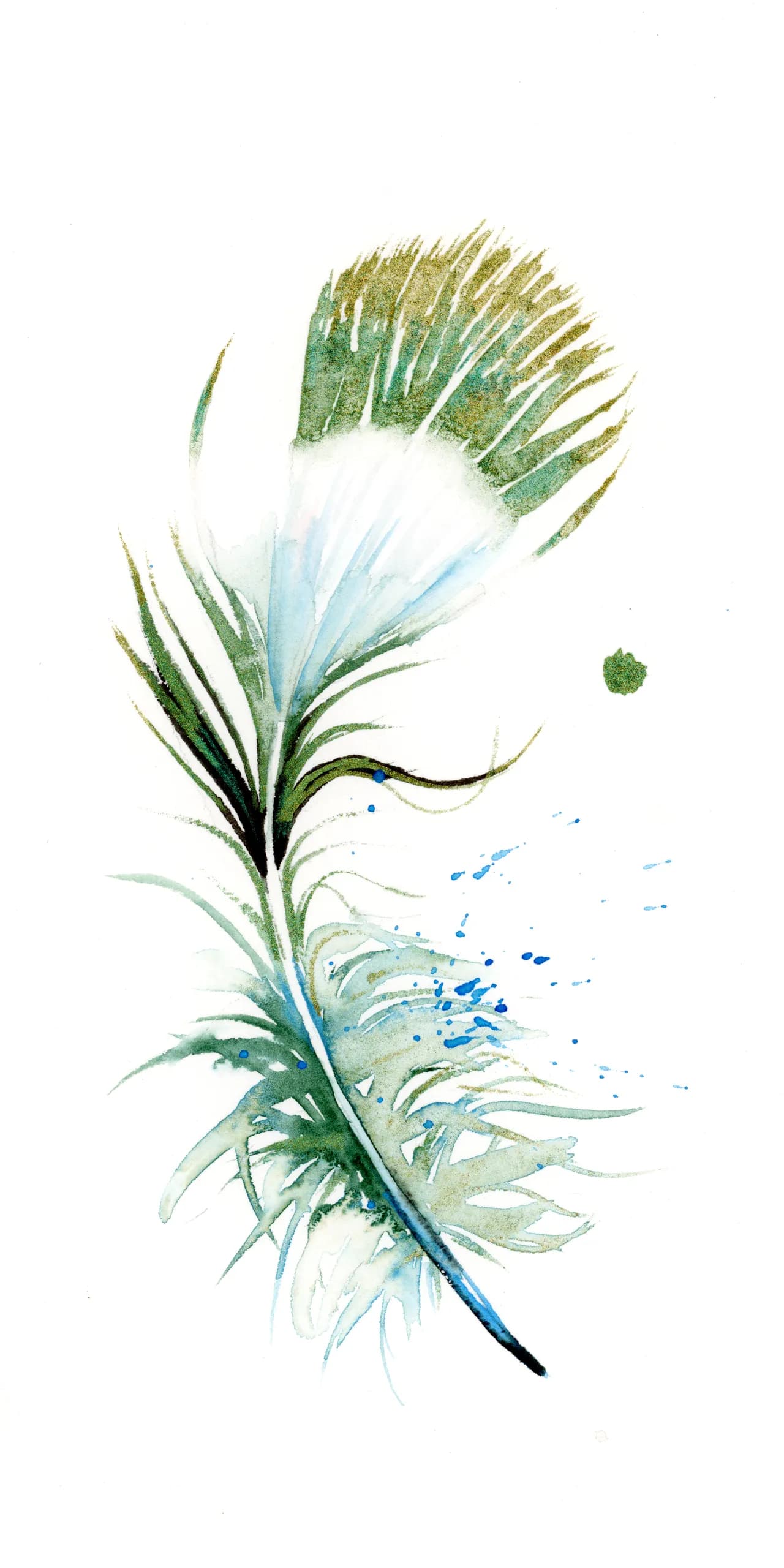 Hummingbird — watercolor by Shayna Larsen