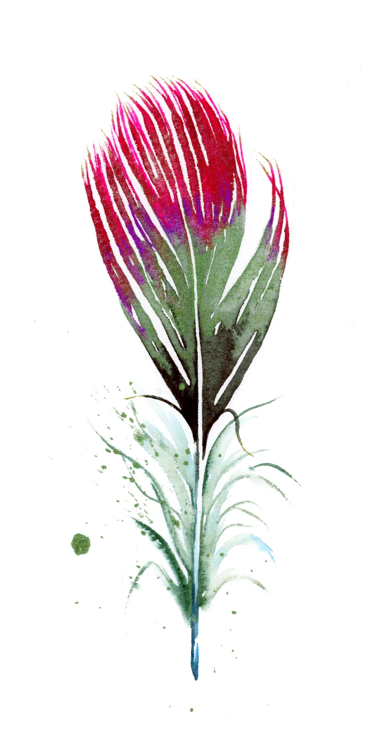 Hummingbird — watercolor by Shayna Larsen