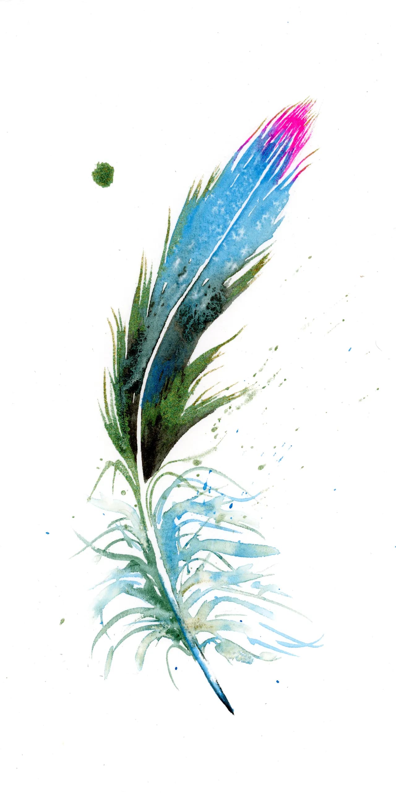 Hummingbird — watercolor by Shayna Larsen