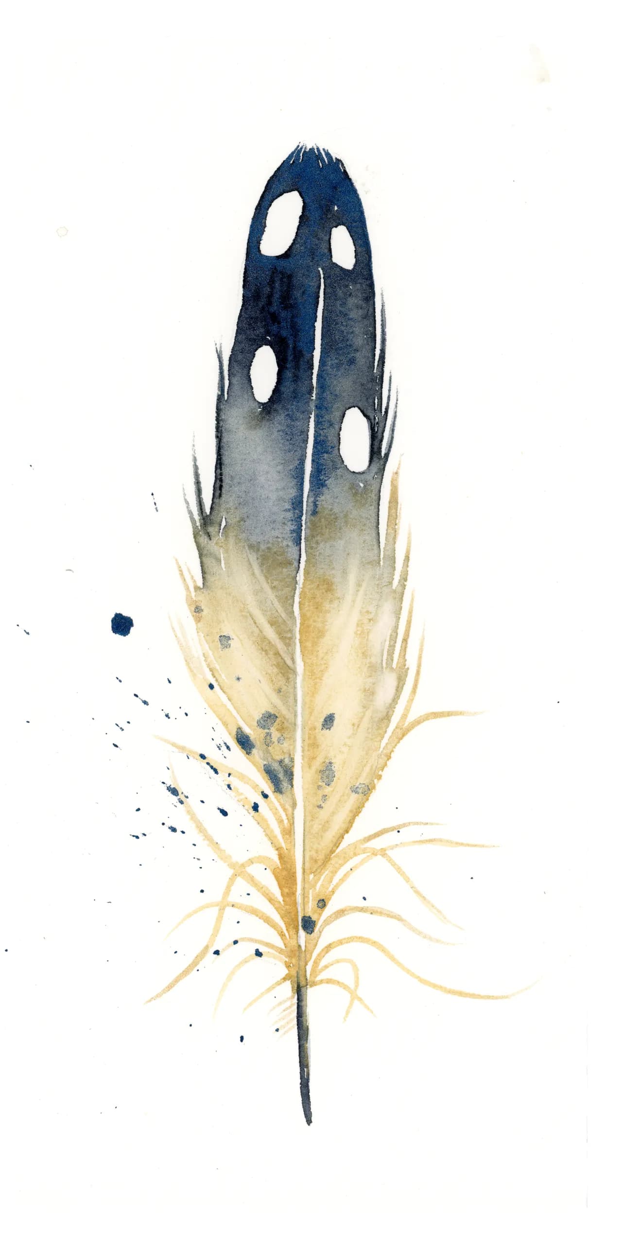 Neil's Loon — watercolor by Shayna Larsen