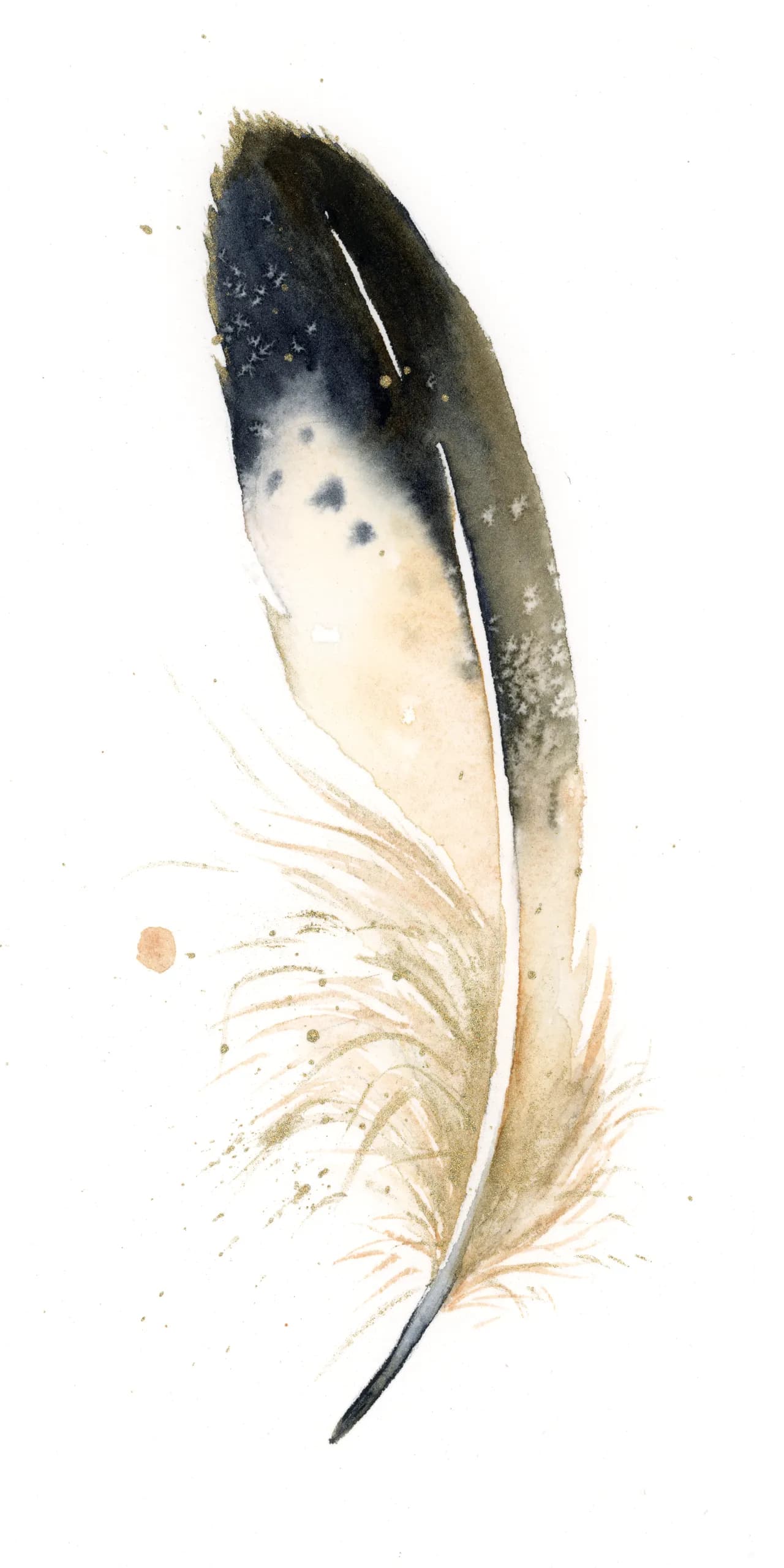 Golden Eagle — watercolor by Shayna Larsen