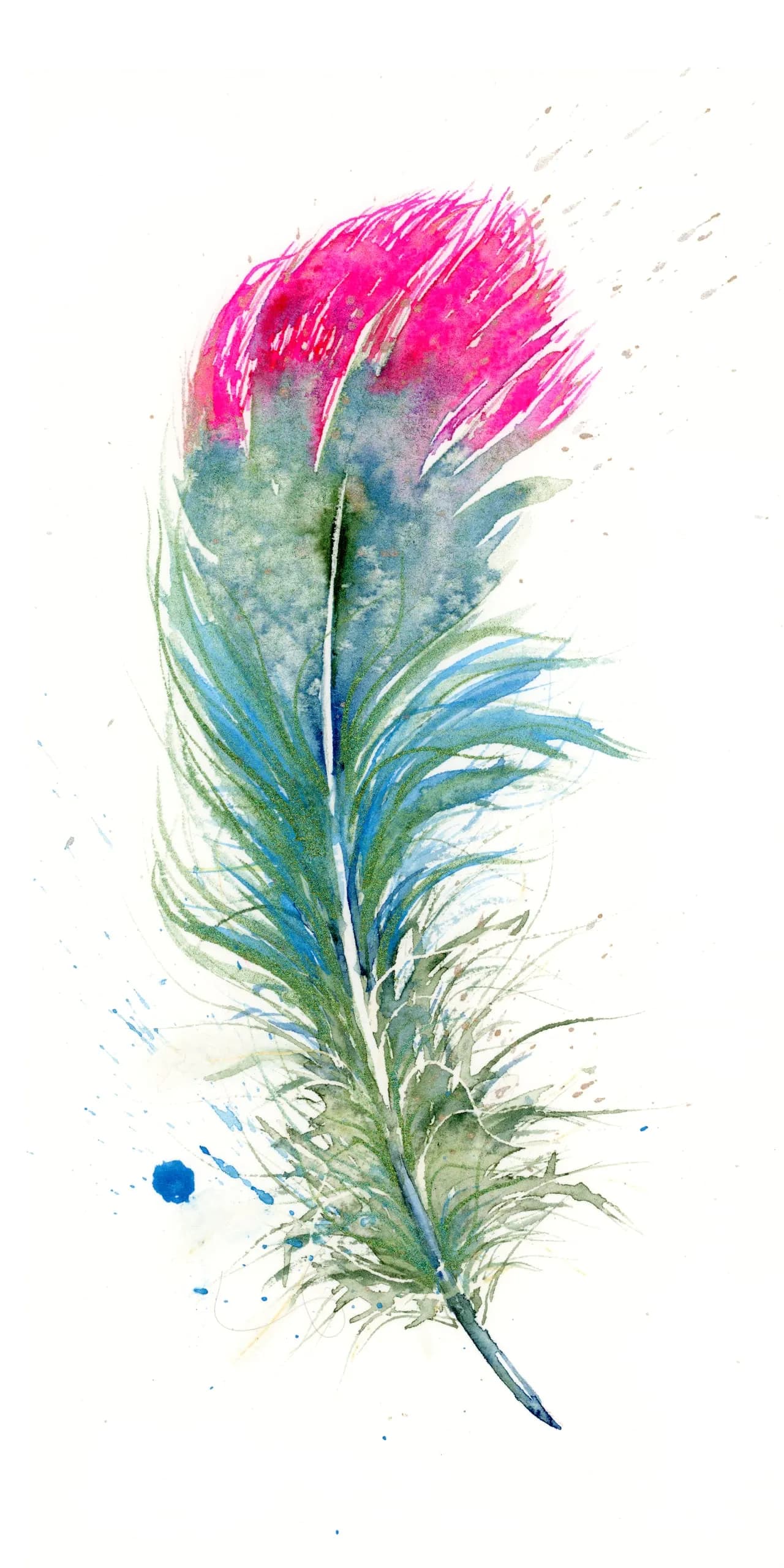 Hummingbird — watercolor by Shayna Larsen