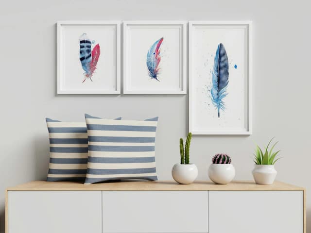Stellar's Jay shown in a room setting