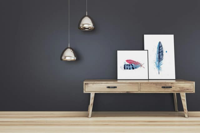Stellar's Jay shown in a room setting