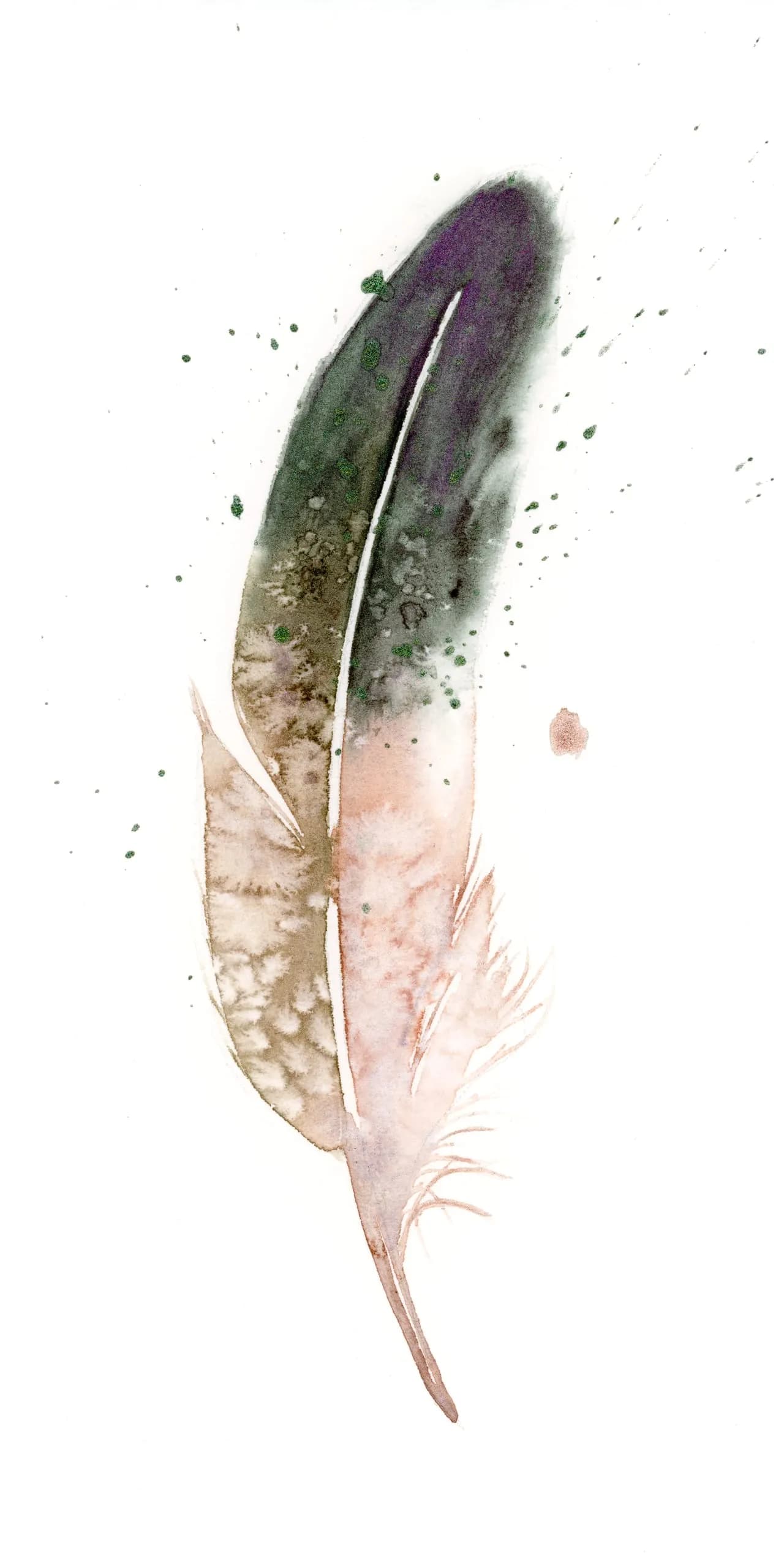 Mallard Duck — watercolor by Shayna Larsen