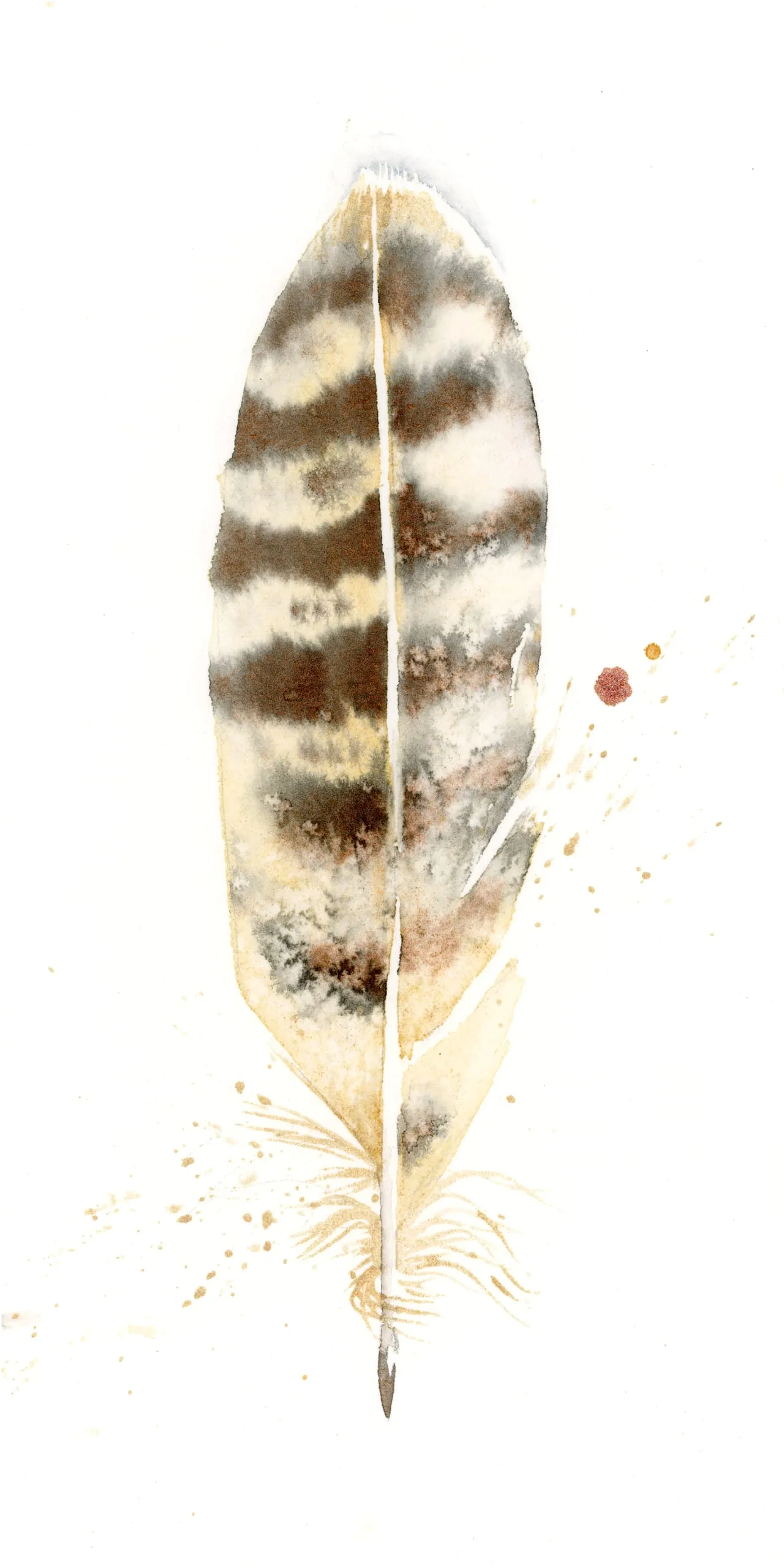 Great Horned Owl — watercolor by Shayna Larsen