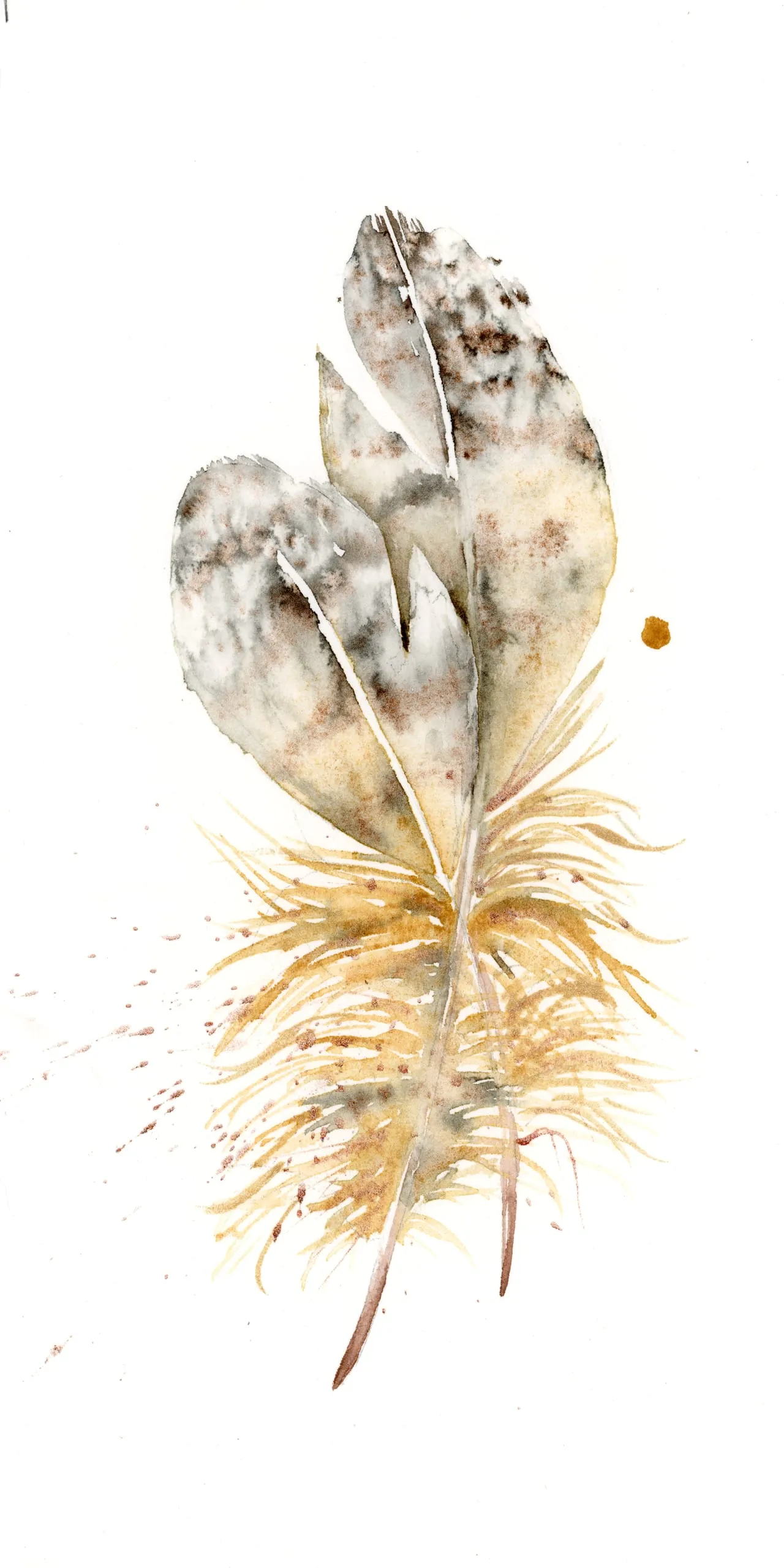 Owl — watercolor by Shayna Larsen
