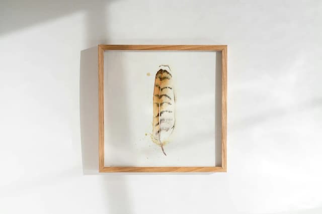 Red-tailed Hawk shown in a room setting