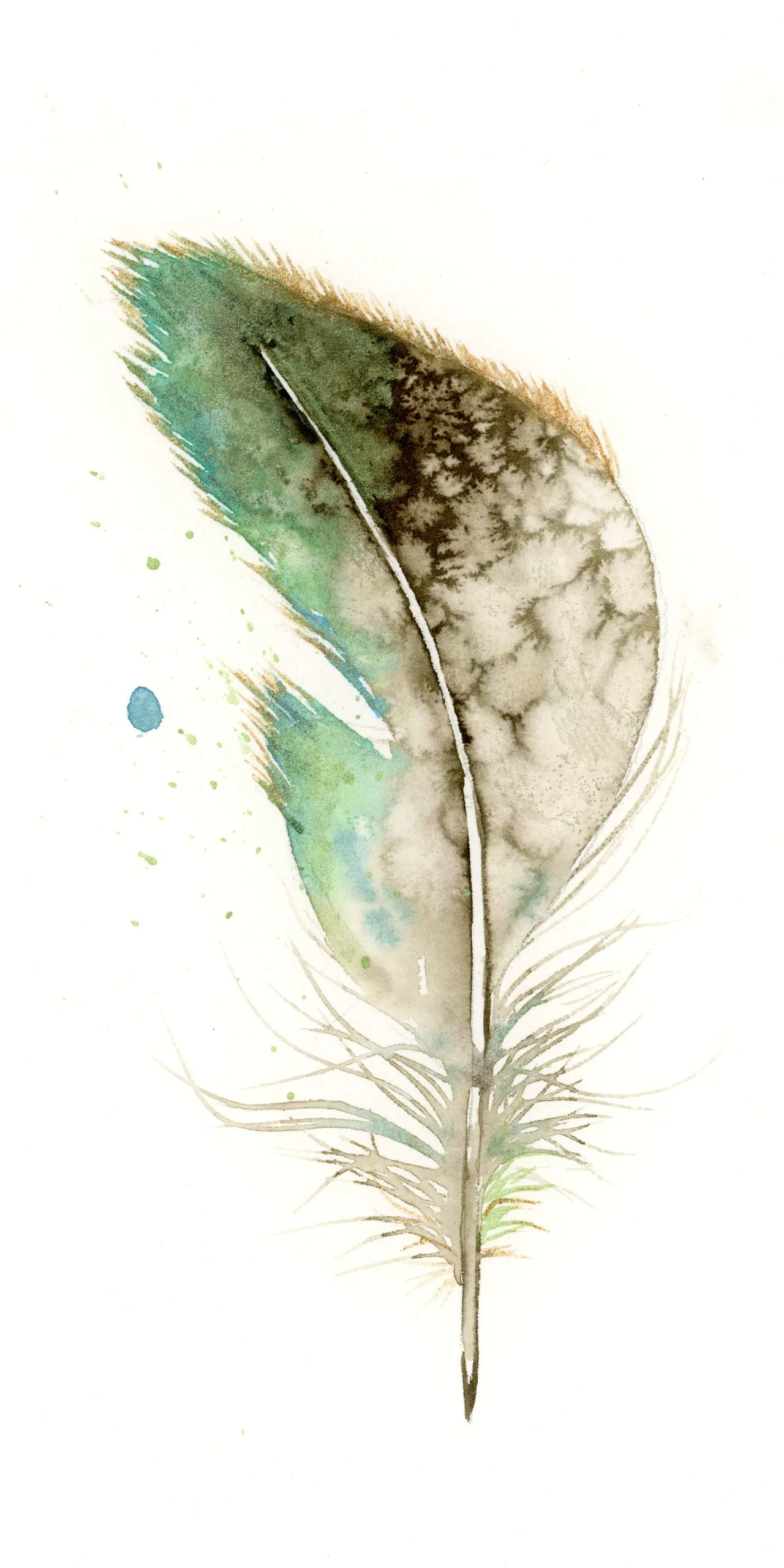 Starling — watercolor by Shayna Larsen