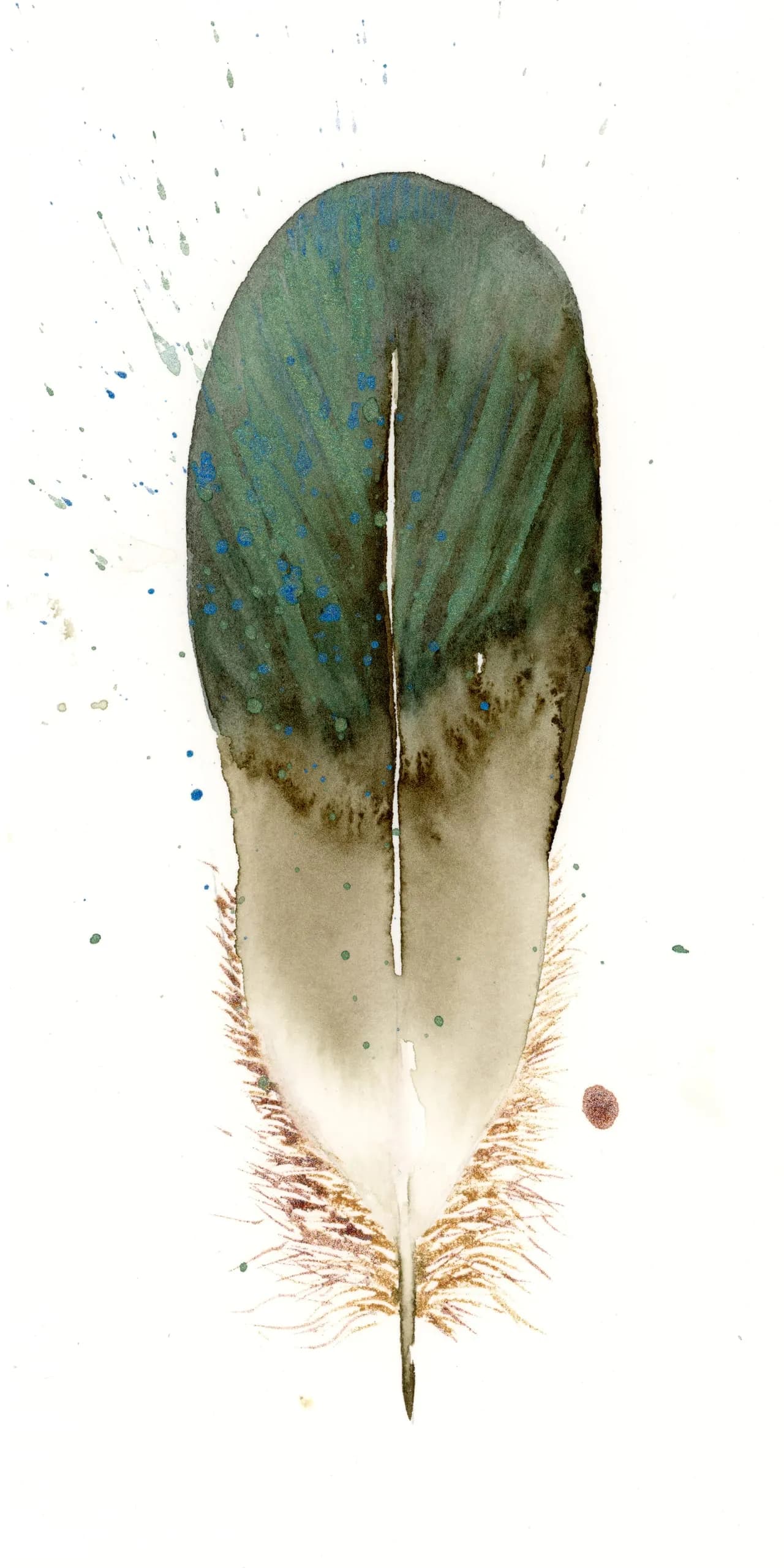 Duck — watercolor by Shayna Larsen