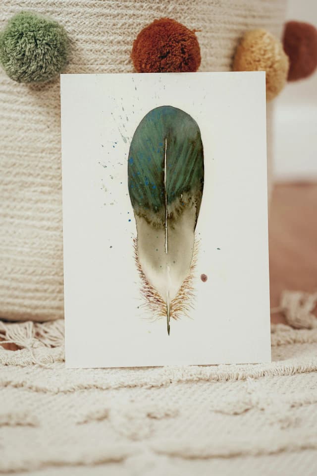 Duck shown in a room setting