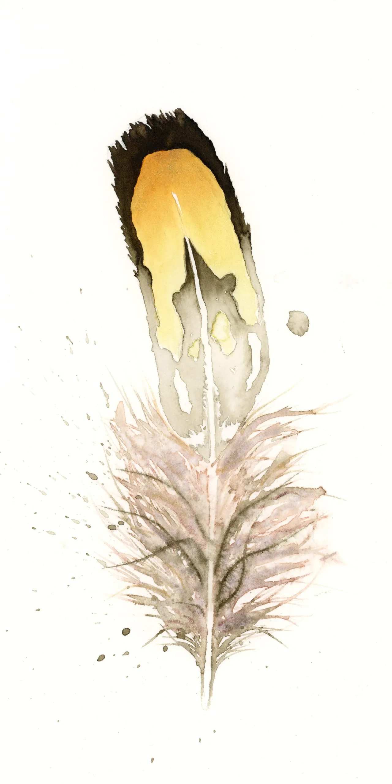 Unknown — watercolor by Shayna Larsen
