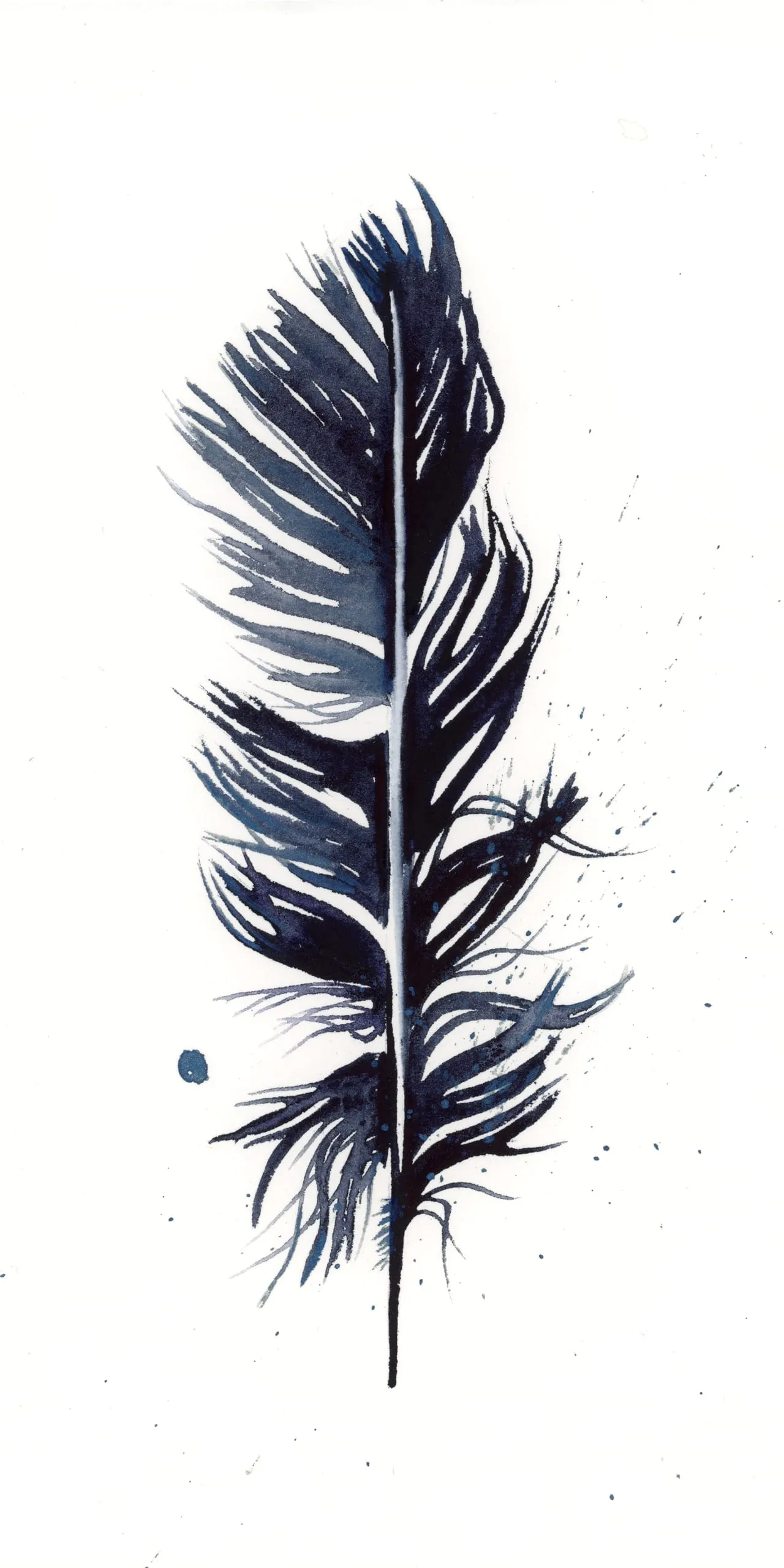 Crow — watercolor by Shayna Larsen
