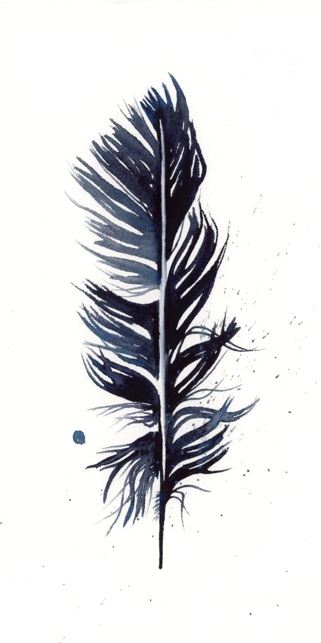 Crow — watercolor by Shayna Larsen
