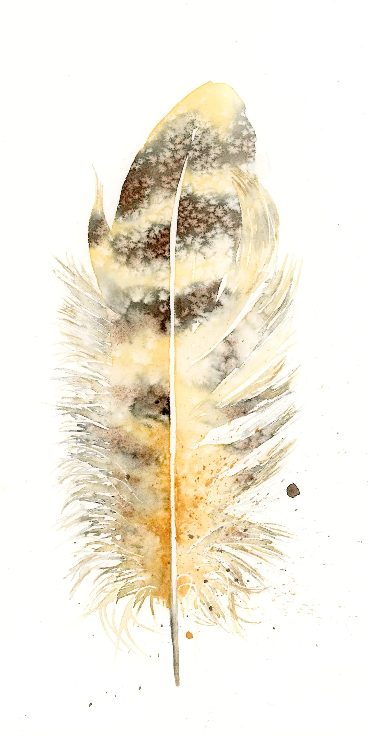 Great Horned Owl — watercolor by Shayna Larsen